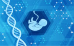 DNA and baby fetus on blue background
